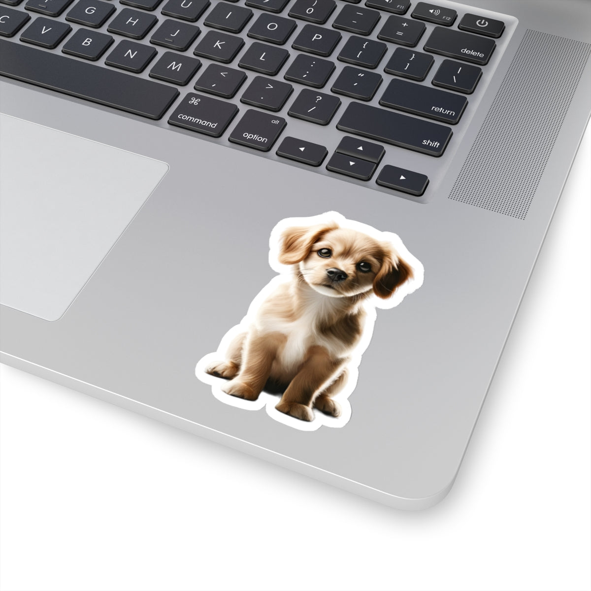 Cecilia Bartolomeo - Kiss-Cut Stickers