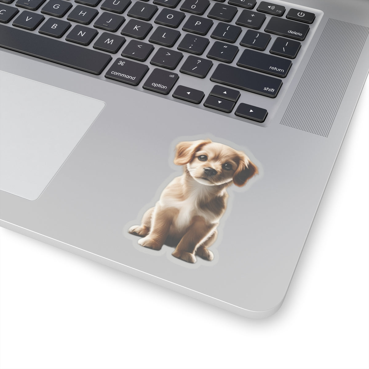 Cecilia Bartolomeo - Kiss-Cut Stickers