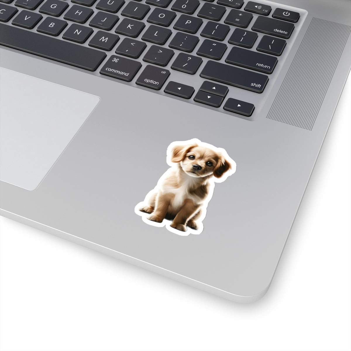 Cecilia Bartolomeo - Kiss-Cut Stickers